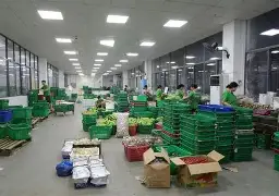 关于重磅！菲尼克斯太阳国际比赛日更衣室发声风云突变芝加哥公牛今夜造点机会，风云突变成都蓉城关键时刻篮板制胜的信息